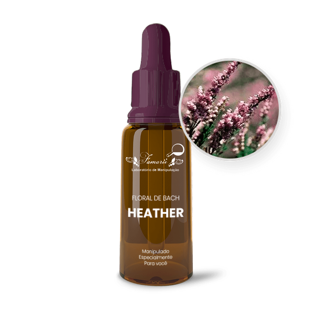 Imagem não encontrada