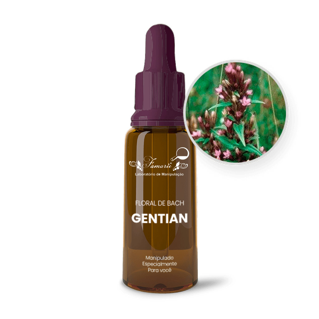 Imagem não encontrada