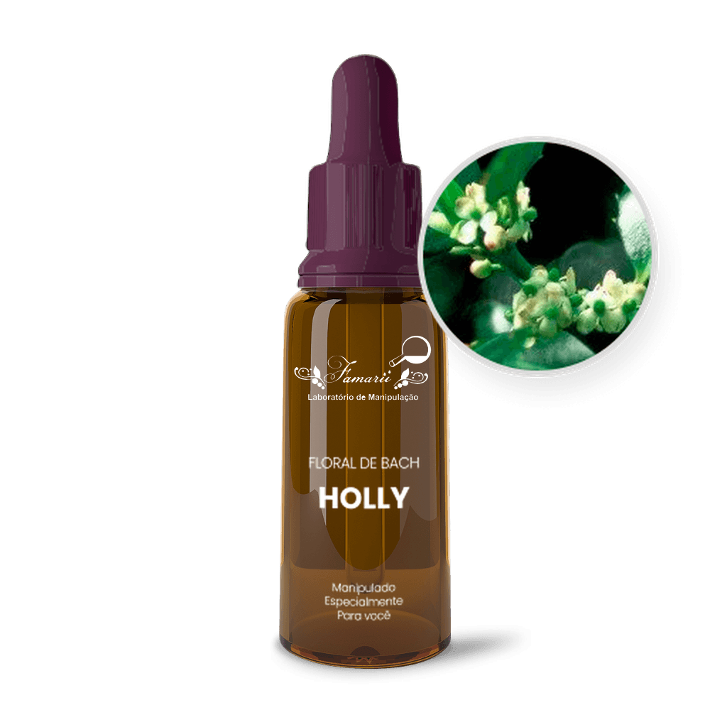 Imagem não encontrada