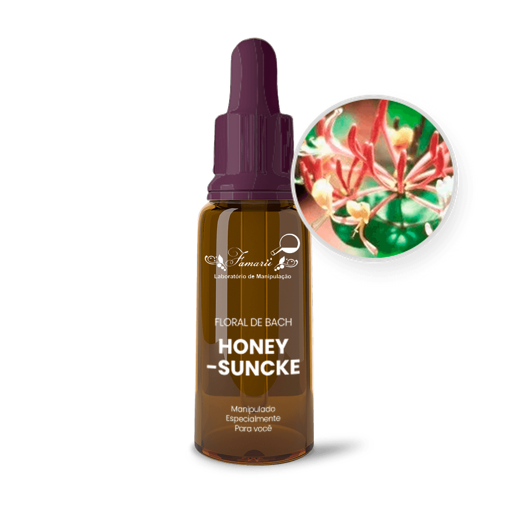 Imagem não encontrada