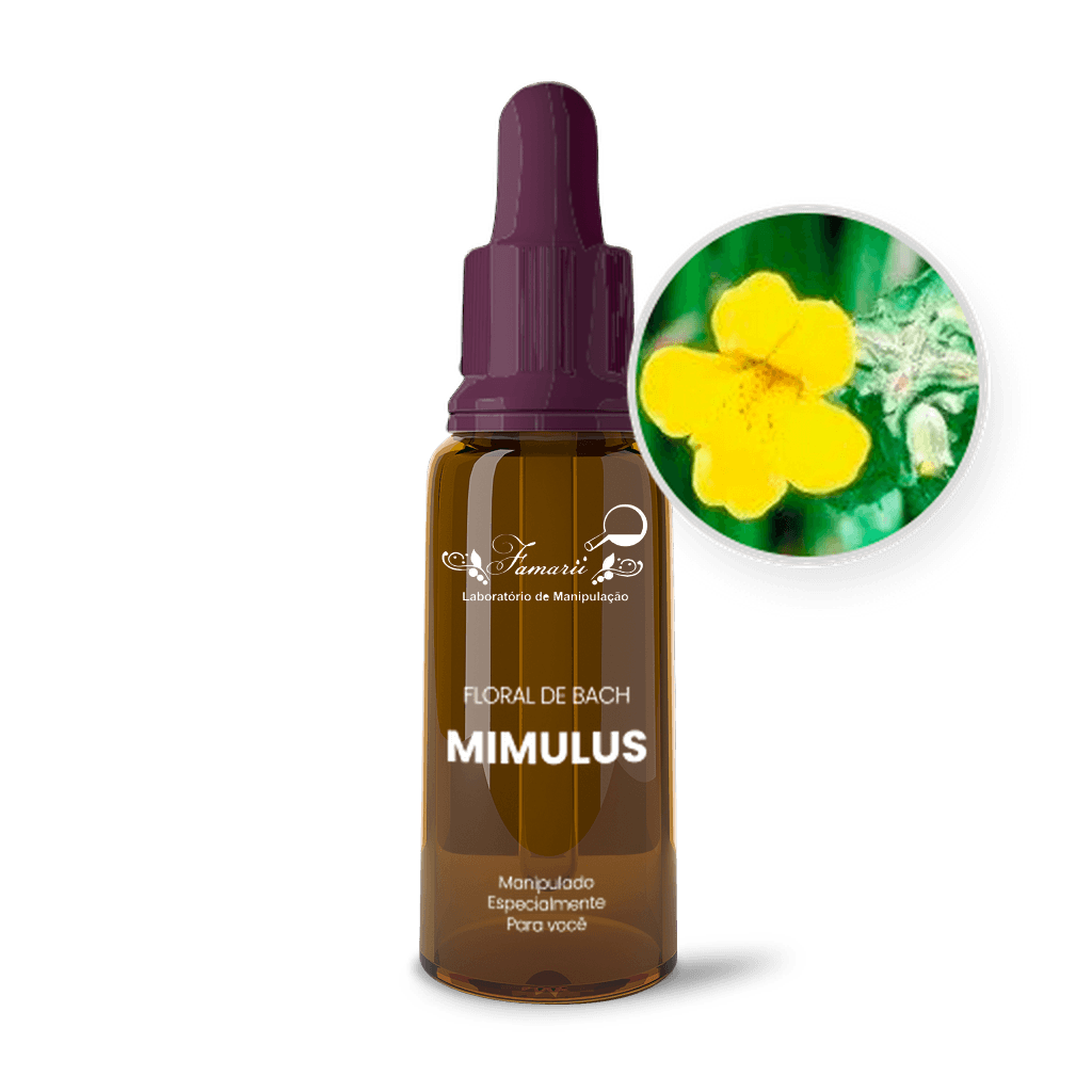 Imagem não encontrada