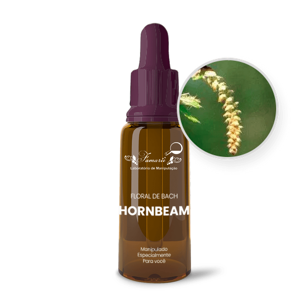 Imagem não encontrada