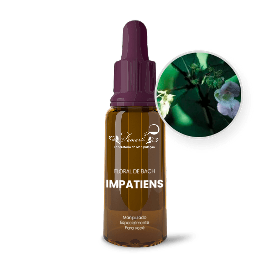 Imagem não encontrada