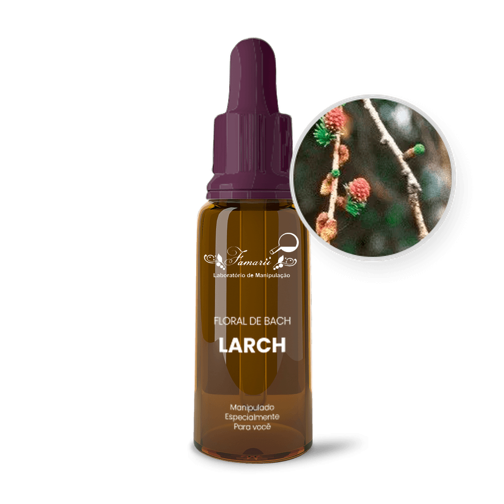 Imagem não encontrada