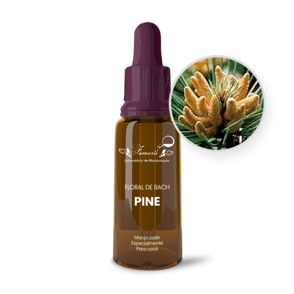 Imagem não encontrada