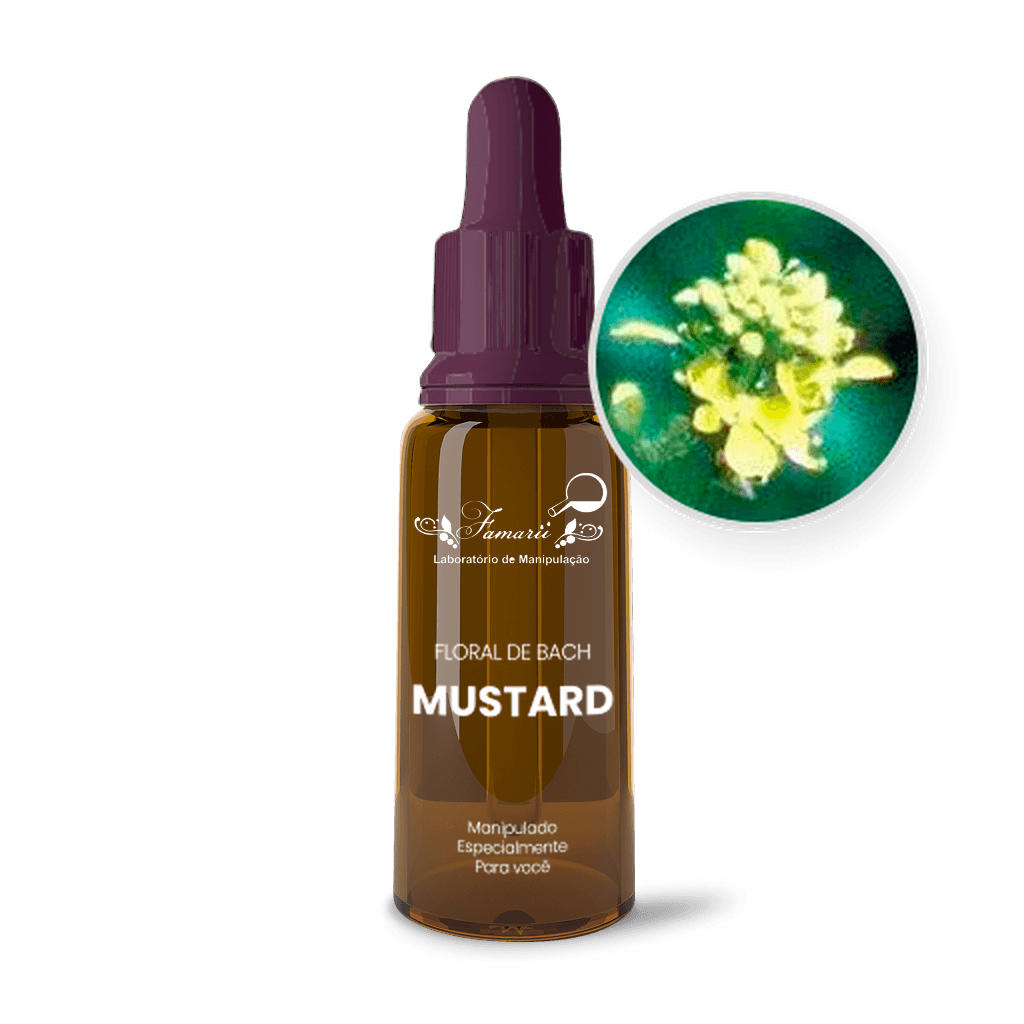 Imagem não encontrada