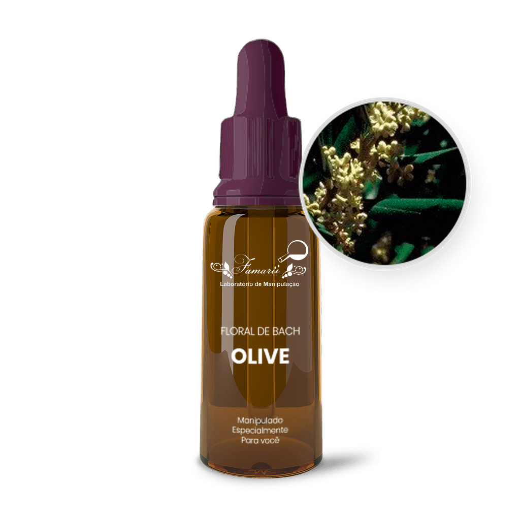 Imagem não encontrada