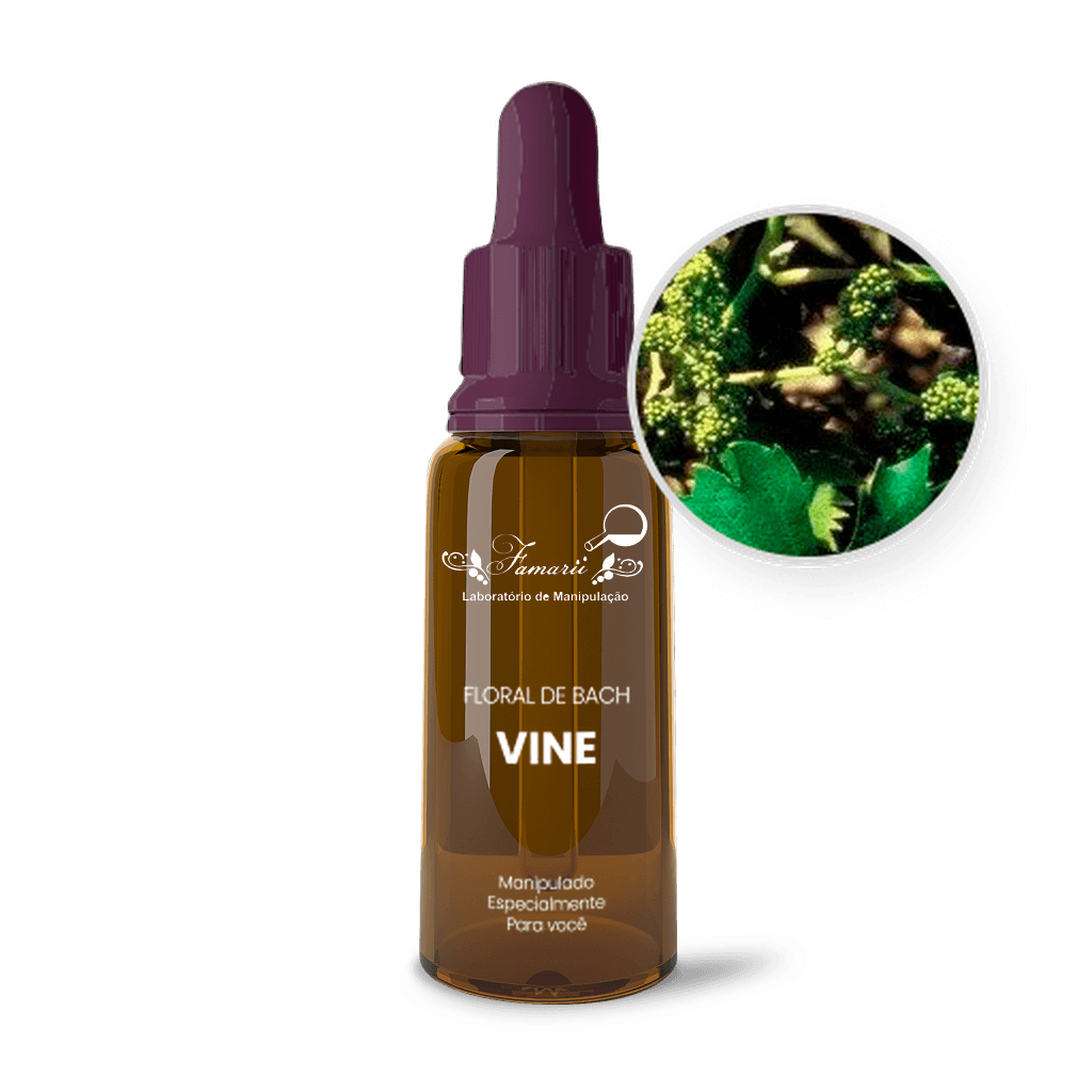 Imagem não encontrada